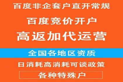 SEM竞价推广案例：电商行业成功案例解析